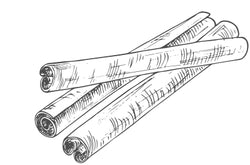 An illustration of cinnamon sticks